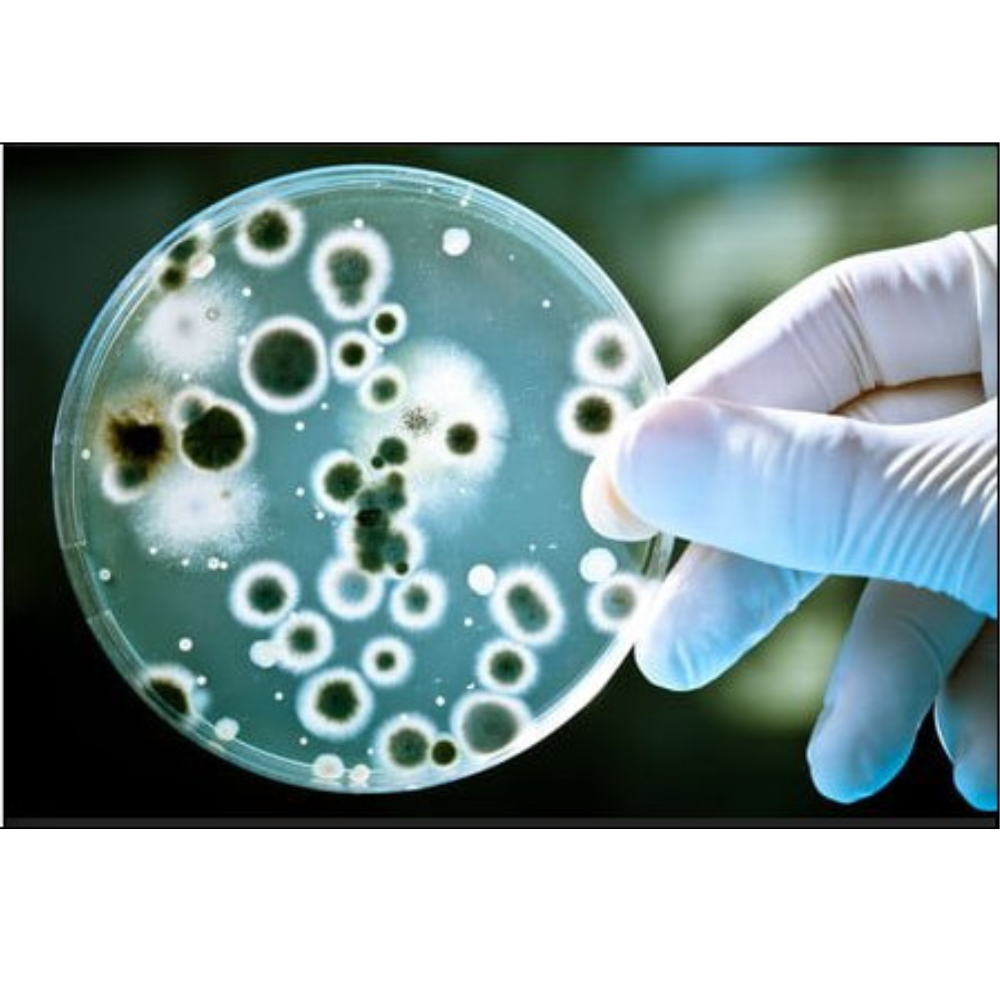 Protettivo trasparente antimicrobico annerimento muri n.ag plus spray 500 ml