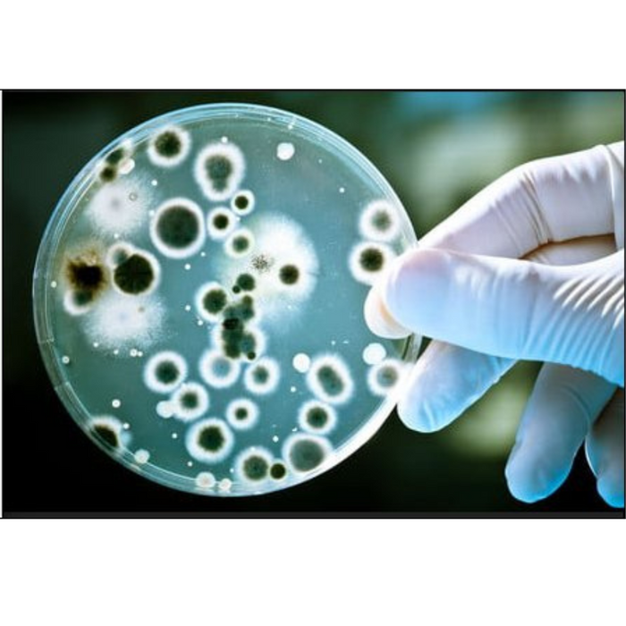 Protettivo trasparente antimicrobico annerimento muri n.ag plus spray 500 ml