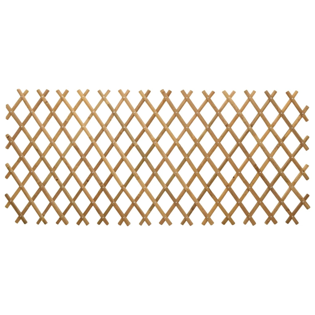 Recinto Trellis Espandibile 2 pz Marrone Chiaro 100 x 105 cm CFW9078196