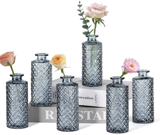 Vasi da tavolo in vetro, 6 pezzi, mini vasi per decorazione, flaconi in vetro per uso domestico, per matrimoni, compleanni e feste.