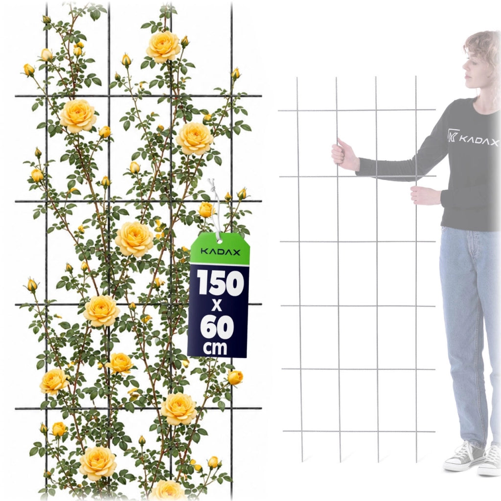 Supporto in metallo per pergola da giardino KADAX per piante, rose e fiori, 60x150 cm