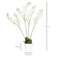 Pianta Artificiale Orchidea H75 cm con Vaso Bianco