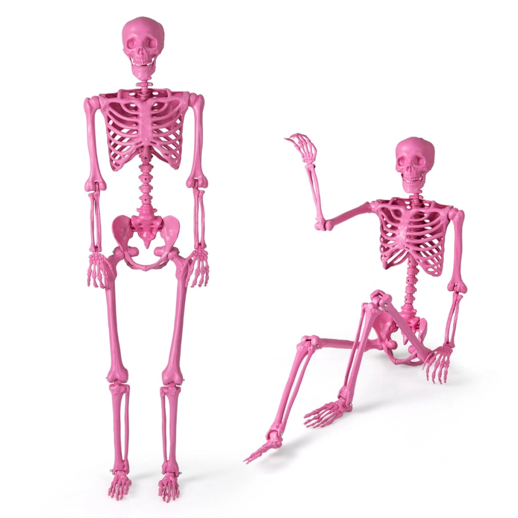 Scheletro di halloween da 160 cm, Scheletro a grandezza naturale con giunture mobili per decorazioni da cimitero Rosa-Halloween