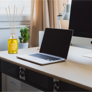 Diffusore ambiente bastoncini fragranza intensa aroma casa profumo regalo 500 ml *** fragranza bergamotto speziato, c...