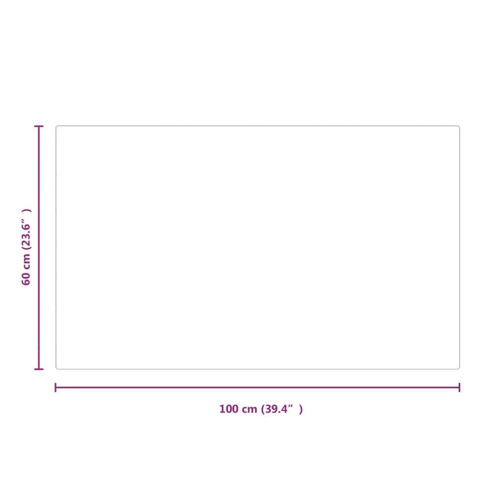 Piastra in vetro per camino Trasparente 100 x 60 cm Vetro 353853