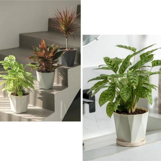 3 set di vasi decorativi in plastica con fori di drenaggio e coperchi per interni ed esterni (13 x 13 x ...)