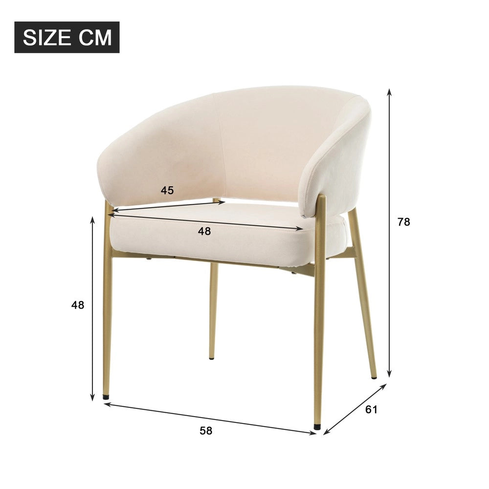 2 Sedie da pranzo in velluto - Zephmum - Comode e traspiranti, stile moderno, colore beige e oro champagne