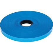 NASTRO SEGNALETICO ELETTRORECINZIONE KERBL  BLU H.MM 25 MT 250