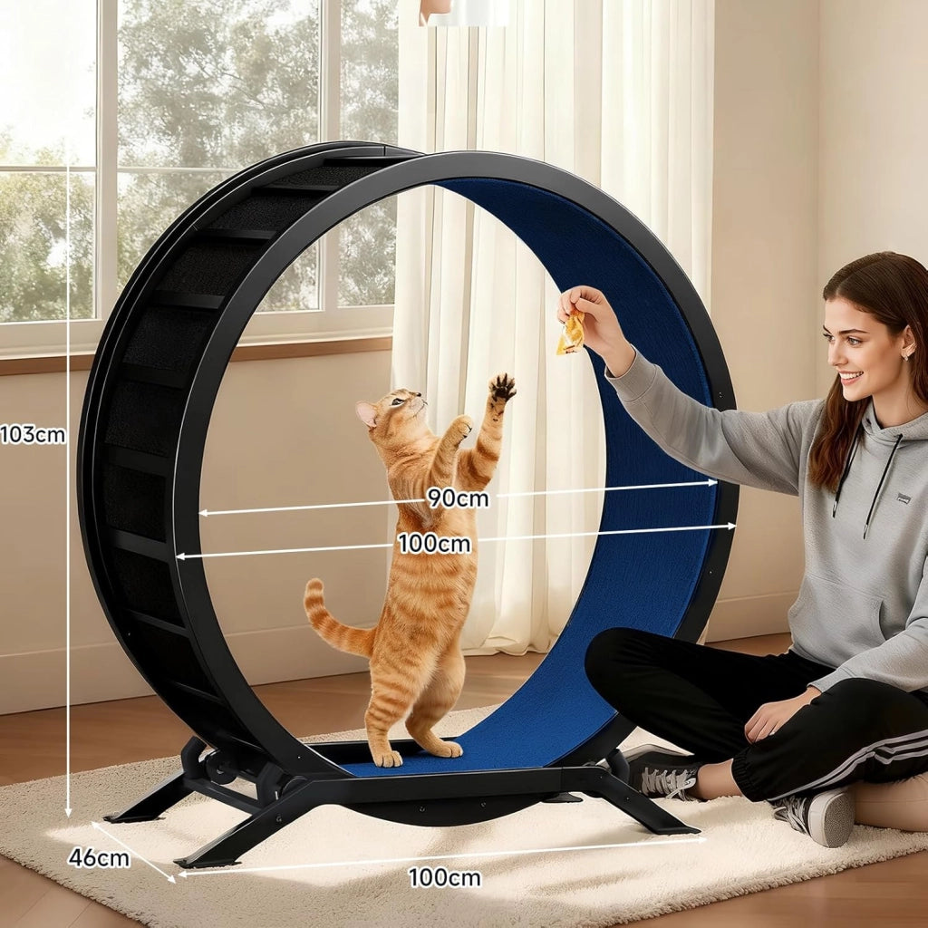 Ruota per gatti, ruota per esercizi per gatti, XL- 100 cm, ultra silenziosa con tappetino rimovibile, adesivi, sistema di bloccaggio, metallo, blu, regali per il vostro gatto