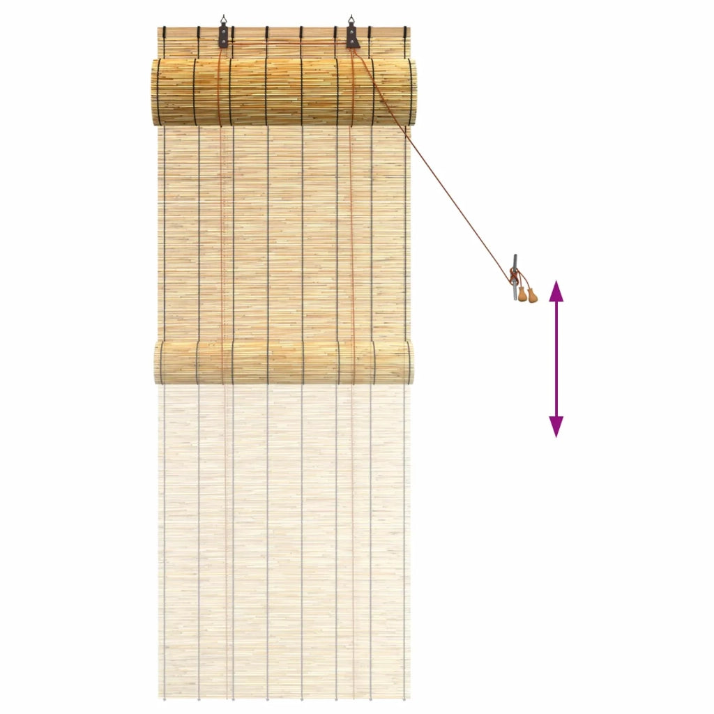 Tenda a rullo Naturale 60 x 160 cm Giunco 42034643