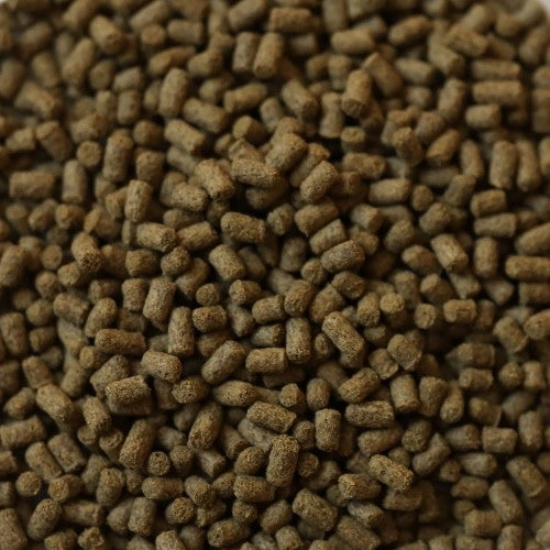 DuplaRin Axolotl Snack 85gr - Mangime base in granuli per Assolotti e Tritoni