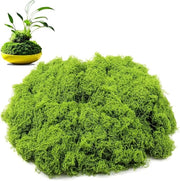 Set di piante artificiali premium 50g per esterno in verde - Decorativo muschio per hobby e modellismo - Decorazione di muschio artificiale per giardino e casa - Finte piante verdi