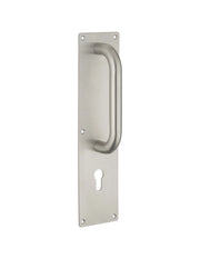 Maniglione in acciaio inox con piastra 300 x 75 mm per cilindro europeo – THIRARD