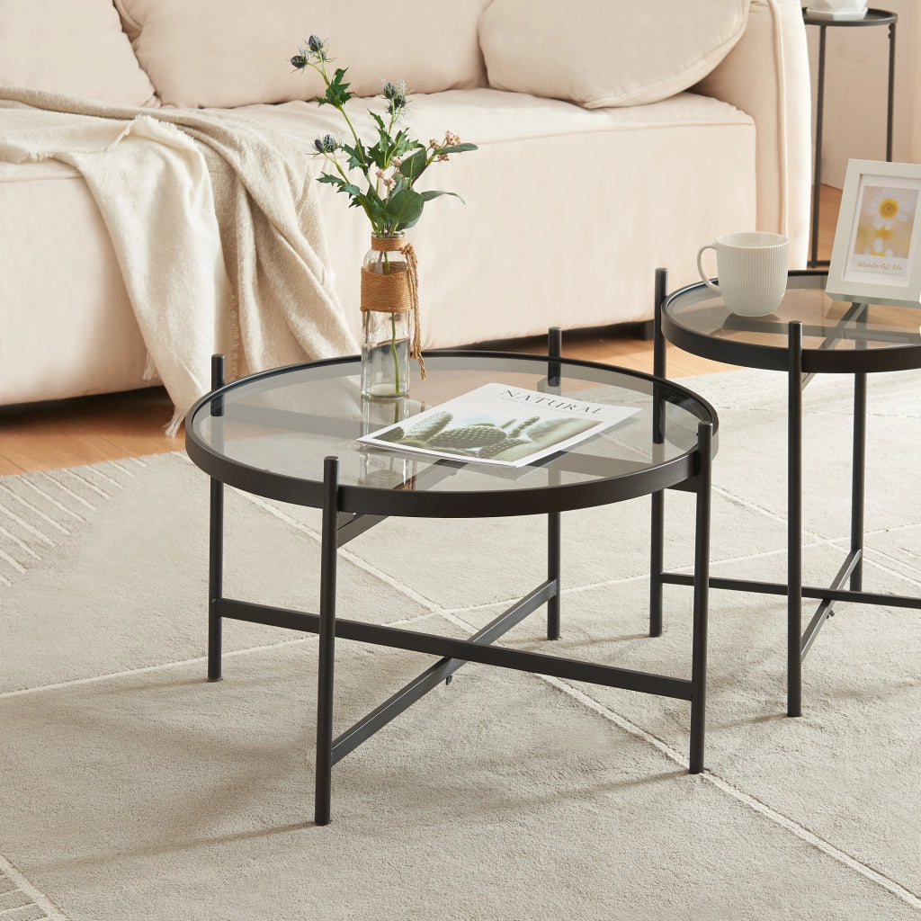 Tavolino Basso Lier con Piano Rotondo Ø 61 in Vetro Telaio in Metallo Nero [en.casa]