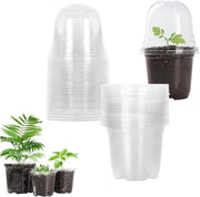 5 insieme di vasi per la propagazione con coperchio e vescica idrica - Vasi in plastica trasparente per piante grasse, semi e giovani piante.