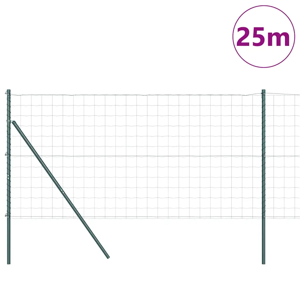 Recinzione con Posto Verde 1,2 x 25 m Acciaio
