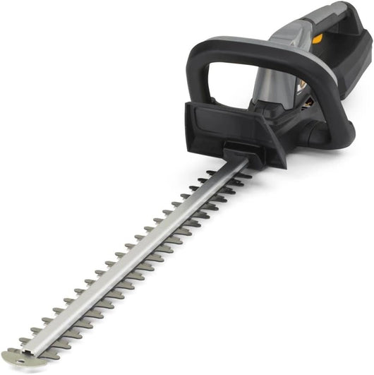 TAGLIASIEPI A BATTERIA ALPINA 20V-2AH