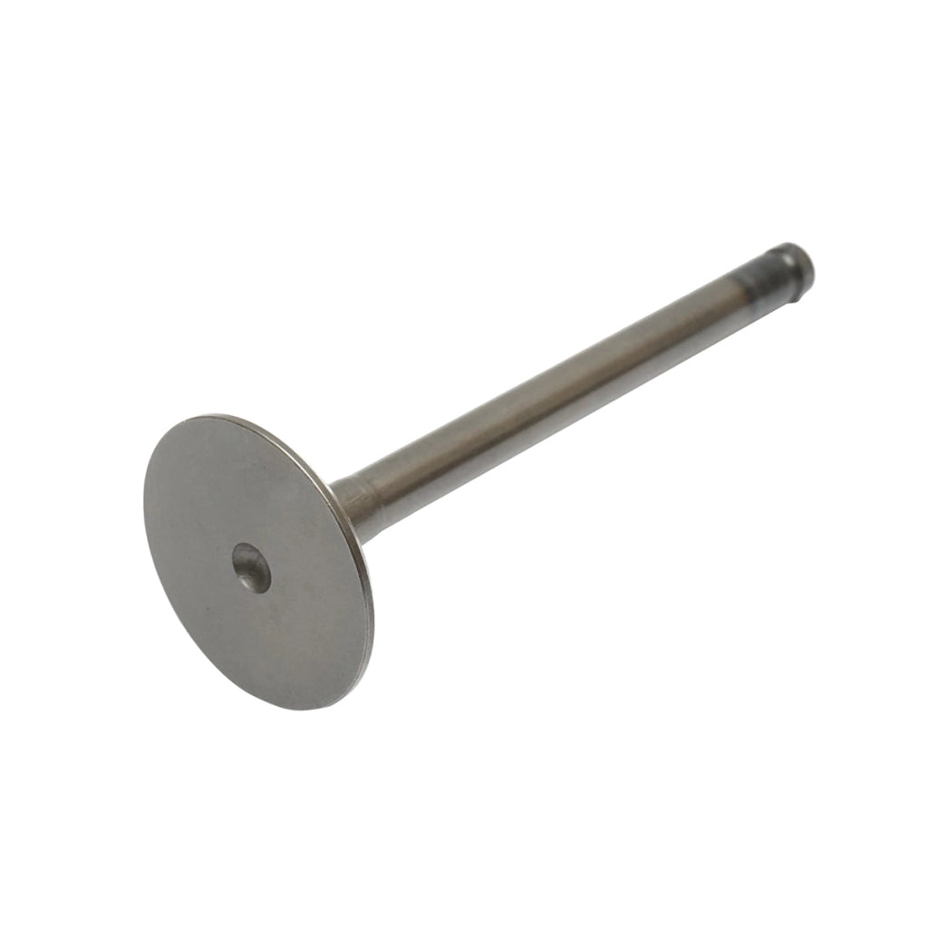Valvola di aspirazione Massey Ferguson Codice OEM 3142H002, 746823M1