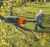 Black+Decker SEGA PER POTATURA A BATTERIA GPC1820L20-QW 18 V 2,0 Ah asta telescopica