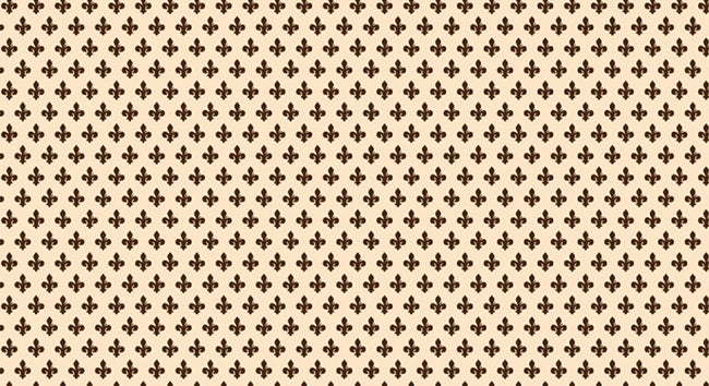 Bonita PLASTICA ADESIVA IN PVC 26D/02  Rotolo cm.45 (H) x 20 mt (L). 20.00 metri