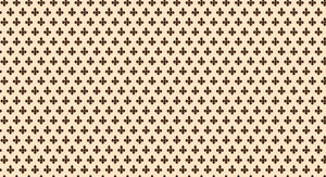 Bonita PLASTICA ADESIVA IN PVC 26D/02  Rotolo cm.45 (H) x 20 mt (L). 20.00 metri