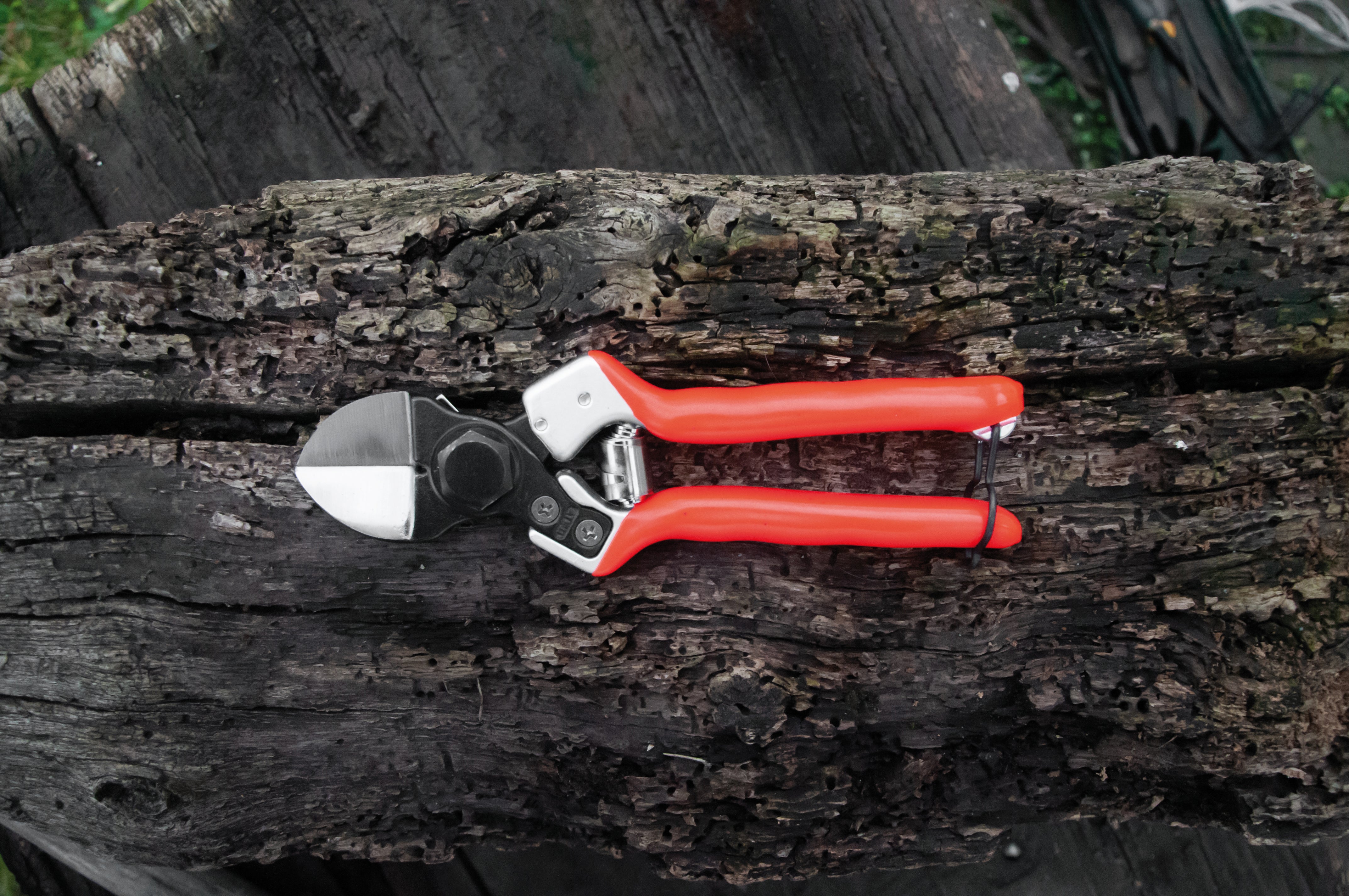 Castellari FORBICI PER FRUTTETO LADY II cm. 21