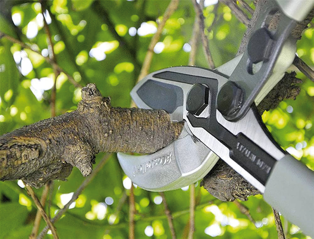 Castellari TAGLIARAMI TUCANO C cm. 60