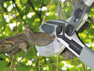 Castellari TAGLIARAMI TUCANO C cm. 60