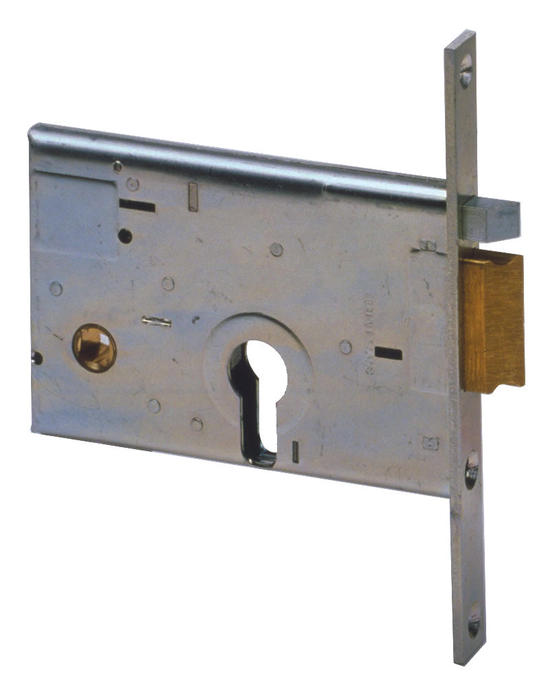 Cisa ELETTROSERRATURA ALLUMINIO INF. FASCE C/S Art. 14011 E.60 Dx - F.20