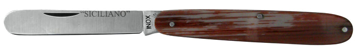 COLTELLO DA TASCA RASOLINO cm. 17 6.00 pz