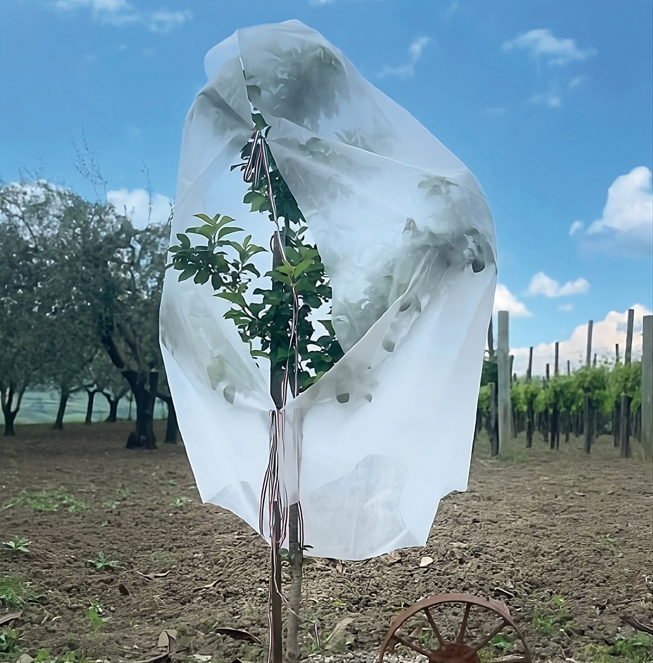 Confine CAPPUCCIO ANTIGELO IN TNT PER PIANTE cm. 160x320