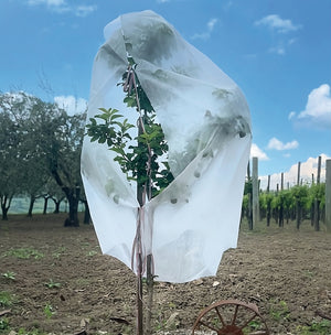 Confine CAPPUCCIO ANTIGELO IN TNT PER PIANTE cm. 160x320