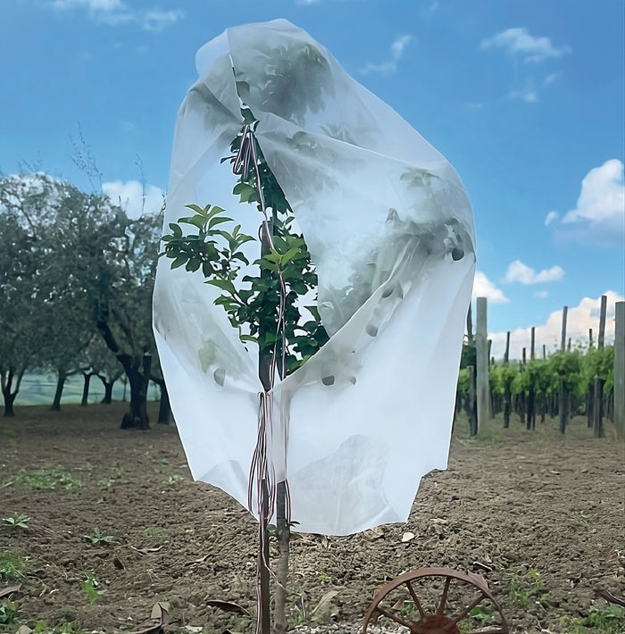 Confine CAPPUCCIO ANTIGELO IN TNT PER PIANTE cm. 160x320