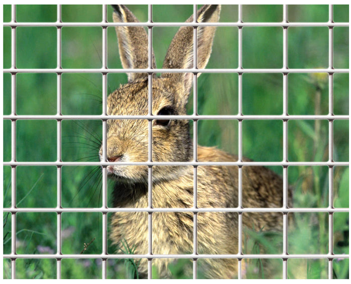 Confine RETE PER RECINZIONI ELET/ZINC maglia mm. 6x6 Ø filo mm.0,60-H cm.100