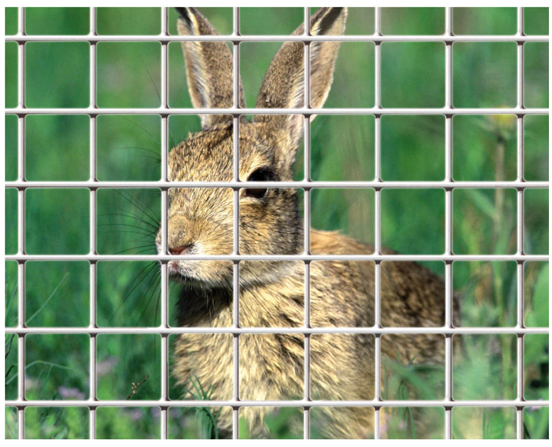 Confine RETE PER RECINZIONI ELET/ZINC maglia mm.19x19 Ø filo mm.1,45-H cm. 80