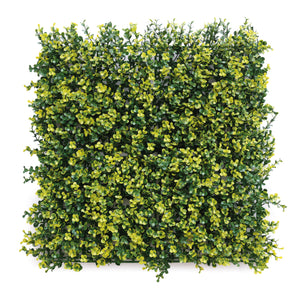 Confine SIEPE ARTIFICIALE DA PARETE MOD. BOSSO cm. 50x50