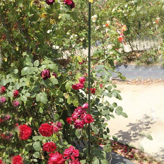 Confine SOSTEGNO IN ACCIAIO PER PIANTE E ORTAGGI  cm. 150 25.00 pz