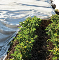 Confine TELO ANTIGELO IN TNT A ROTOLO PER SEMI E PIANTINE mt. 3,20x250