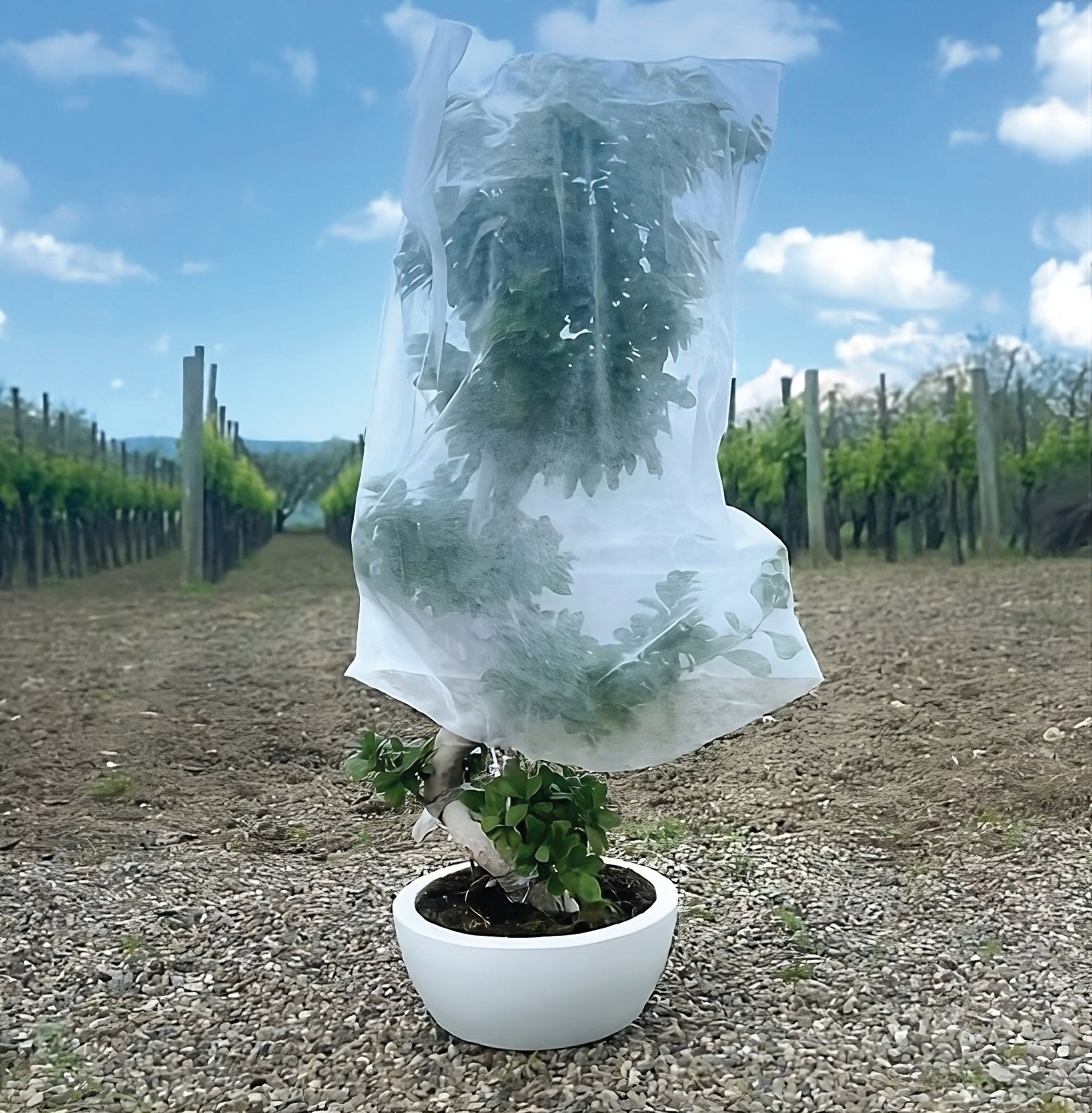 Confine TELO ANTIGELO IN TNT A SACCO PER PIANTE cm.150x360  pz. 1