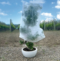 Confine TELO ANTIGELO IN TNT A SACCO PER PIANTE cm.150x360  pz. 1