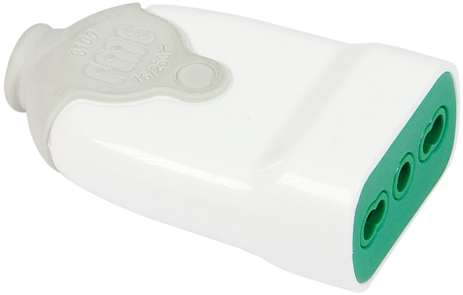 Fanton PRESA SEMPLICE IN BLISTER 2P+T 10/16A