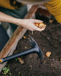 Fiskars ZAPPETTA SOLID