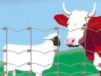 Frigerio RETE PER RECINZIONI GALVAFIELD 100/8/30 mt.100  H cm. 100 (F 1,9/2,2)