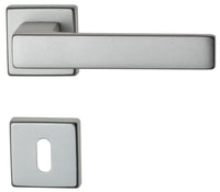 Ghidini MANIGLIA CARLO CON ROSETTA PATENT Alluminio Anodizzato Argento