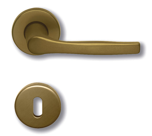 Ghidini MANIGLIA F4 CON ROSETTA 10.00 pz