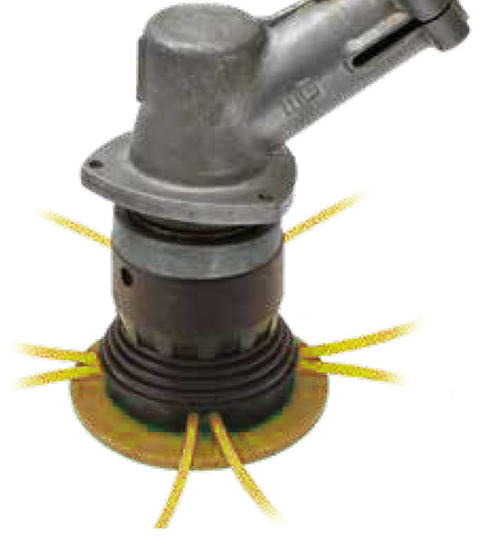 Globex TESTINA PER DECESPUGLIATORE QUEEN