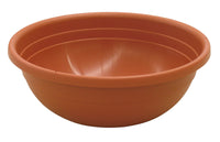 ICS CIOTOLA CLIVIA cm. 50 (Ø) x 16 h 6.00 pz