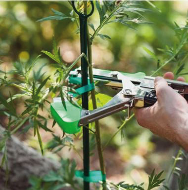 Max PINZA LEGATRICE A NASTRO HTB-1