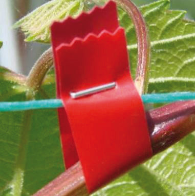 Max PINZA LEGATRICE A NASTRO HTB-1