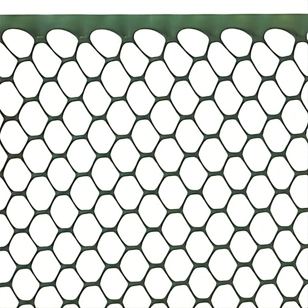 RETE ESAGONALE ESANET 20x15 VERDE rotolo mt.50 H. cm.100